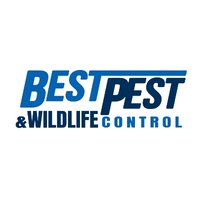 Best Pest  Wildlife Control