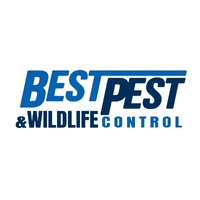 Best Pest  Wildlife Control