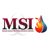 Mold Solutions  Inspections