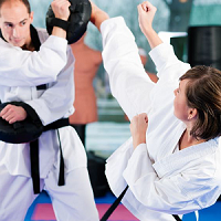 Eight Star Martial Arts, LLCRed Dragon Karate School