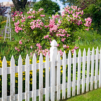 Crown Rental Fence