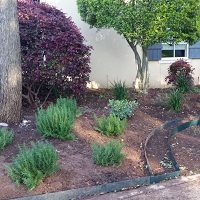 All Green Lawn And Landscaping