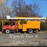 Miguels Tree and Landscaping