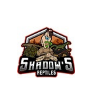 Shadows Reptiles