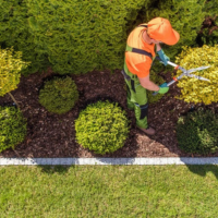 The Guardians Green Turf