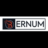 Top-Rated Web Development Company | Bernum