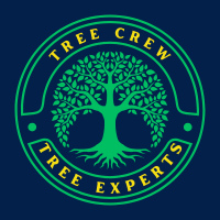 Tree Crew Tree Experts