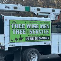 The Tree Wise Men Tree Service