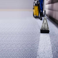 Book a Professional Carpet Cleaning Services In BROOKLYN