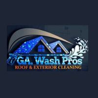 GA. Wash Pros