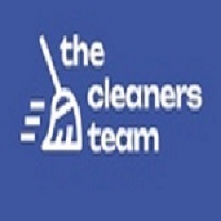 THE CLEANERS TEAM LLC